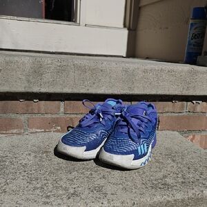 Basketball Shoes in Purple and Blue